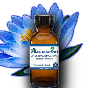 LOTUS BLUE ABSOLUTE OIL 