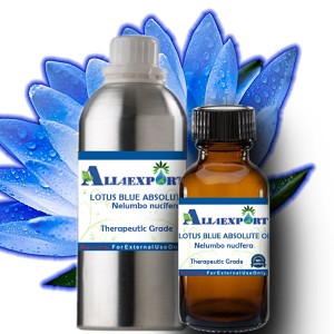 LOTUS BLUE ABSOLUTE OIL 