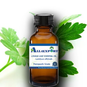 LOVAGE LEAF ESSENTIAL OIL