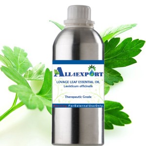 LOVAGE LEAF ESSENTIAL OIL
