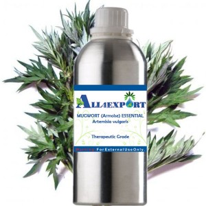 MUGWORT (Armoise) ESSENTIAL OIL