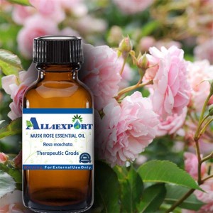 MUSK ROSE ESSENTIAL OIL