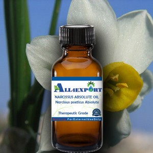 NARCISSUS ABSOLUTE OIL 