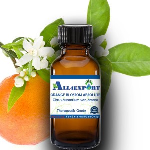 ORANGE BLOSSOM ABSOLUTE OIL 