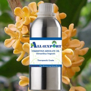OSMANTHUS ABSOLUTE OIL 