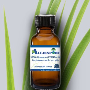 SOFIA (Gingergrass) ESSENTIAL OIL