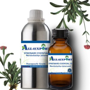 SPIKENARD ESSENTIAL OIL