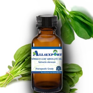 SPINACH LEAF ABSOLUTE OIL