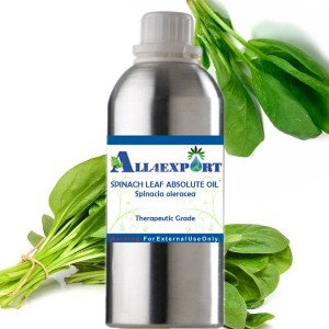 SPINACH LEAF ABSOLUTE OIL