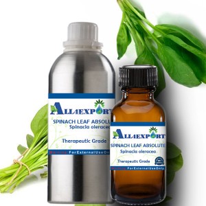 SPINACH LEAF ABSOLUTE OIL