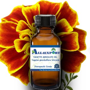TAGETTE ABSOLUTE OIL