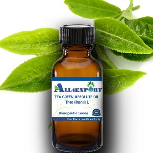 TEA GREEN ABSOLUTE OIL