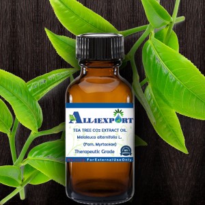 TEA TREE CO2 EXTRACT OIL
