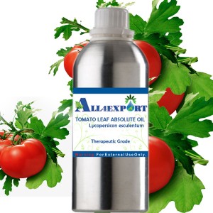 TOMATO LEAF ABSOLUTE OIL