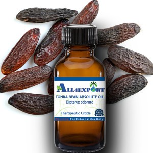 TONKA BEAN ABSOLUTE OIL