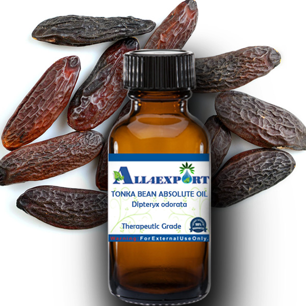 Tonka Bean Absolute Essential Oil, (Dipteryx odorata). 100% Pure and  natural.