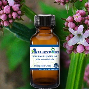 VALERIAN ESSENTIAL OIL