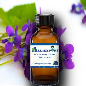 VOILET ABSOLUTE OIL