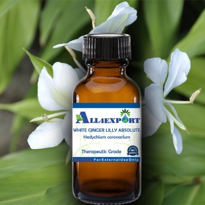 WHITE GINGER LILLY ABSOLUTE OIL