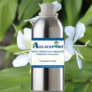 WHITE GINGER LILLY ABSOLUTE OIL