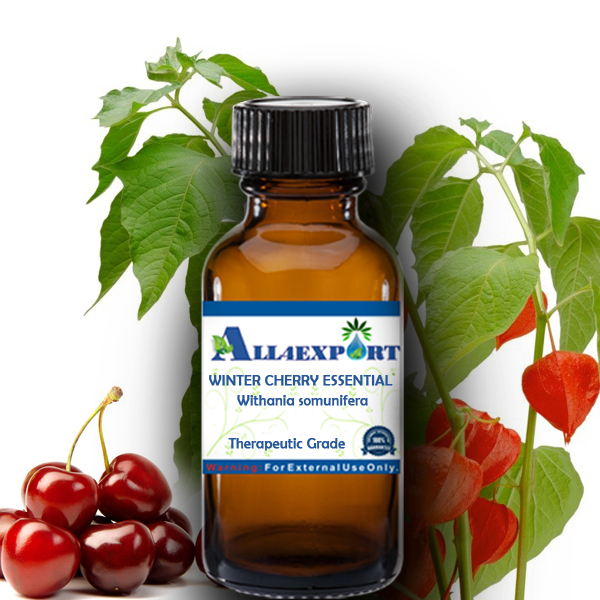 WINTER CHERRY ESSENTIAL OIL