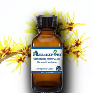 WITCH HAZEL ESSENTIAL OIL