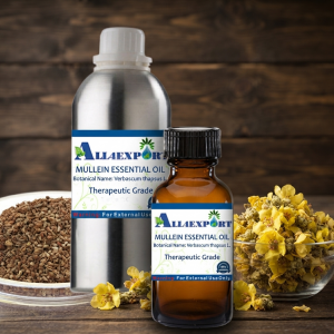 MULLEIN ESSENTIAL OIL