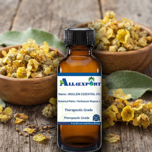 MULLEIN ESSENTIAL OIL