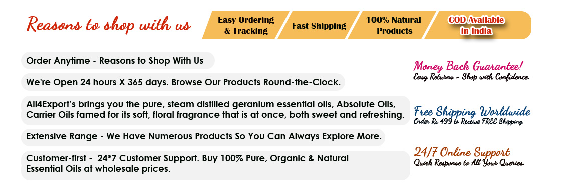 All4export.com